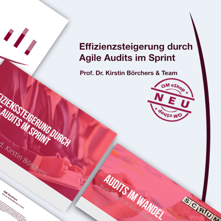 Im Gesundheitswesen Effizienzsteigerung durch Agile Audits im Sprint