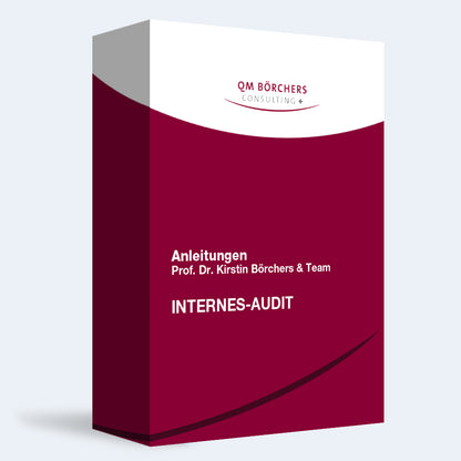 Bundle - Internes Audit