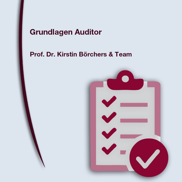 Grundlagen Auditor